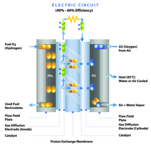 How a hydrogen fuel cell works. Courtesy of Ballard Power Systems.